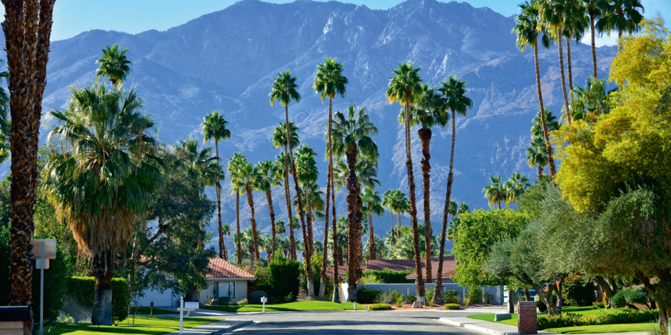 Coachella Valley: An Oasis In The Desert | Spotlight Online